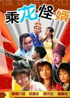 乘龙怪婿剧情介绍(1-120全集)