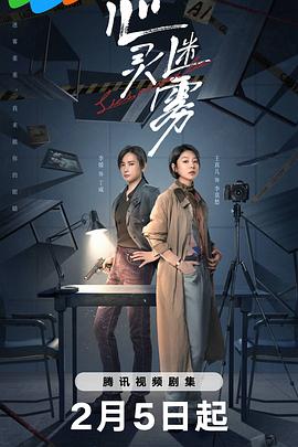 心灵迷雾剧情介绍(1-21全集)